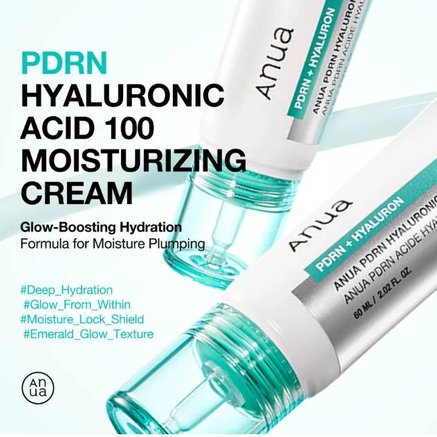 Anua - PDRN Hyaluronic Acid 100 Moisturizing Cream 60ml