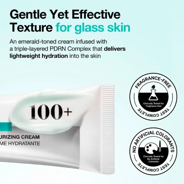 Anua - PDRN Hyaluronic Acid 100 Moisturizing Cream 60ml