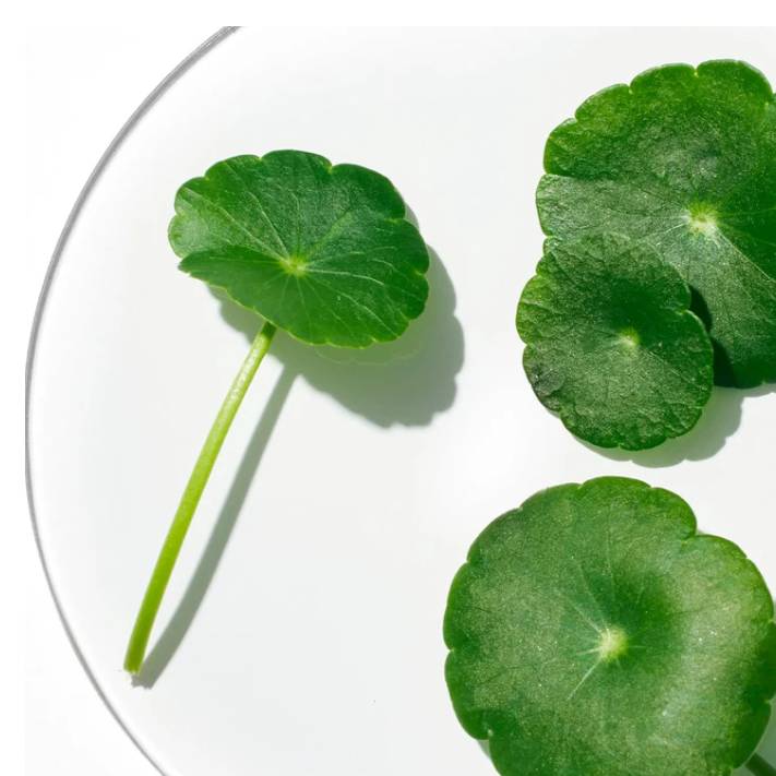 ANUA Azelaic Acid 10 Hyaluron Redness Soothing Serum - 30ml